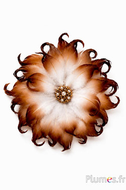 Anatra - sbiancata - 6-9 cm - marrone-crema